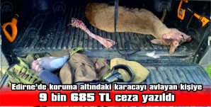 KARACAYI AVLAYAN KİŞİYE 9 BİN 685 TL CEZA YAZILDI