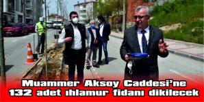 MUAMMER AKSOY CADDESİ IHLAMUR KOKACAK