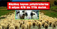 KIRKLARELİ’NDE HAYVAN SAYISINI ARTIRMAK İÇİN ÇALIŞMALAR SÜRÜYOR