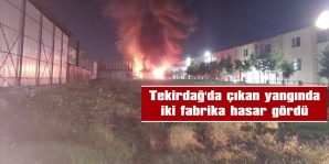 TEKİRDAĞ’DA ÇIKAN YANGINDA İKİ FABRİKA HASAR GÖRDÜ