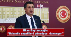 GAYTANCIOĞLU: “BAKANLIK ENGELLİLERİ GÖRMÜYOR, DUYMUYOR”