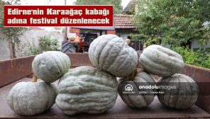 KARAAĞAÇ, BU KEZ ADINI KABAK FESTİVALİ İLE DUYURACAK