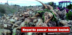 KEŞAN’DA PANCAR HASADI BAŞLADI