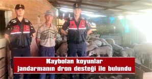 62 KOYUN SAHİBİNE TESLİM EDİLDİ