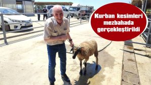 KURBANLIK YETİŞTİRİCİLERİ BU YILKİ SATIŞLARDAN MEMNUN DEĞİL