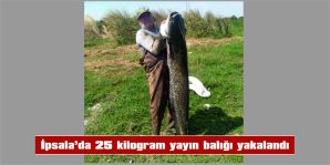 BALIKÇININ AĞINA TAKILAN YAYIN BALIĞI 1 METRE 80 SANTİMETRE BOYUNDA…