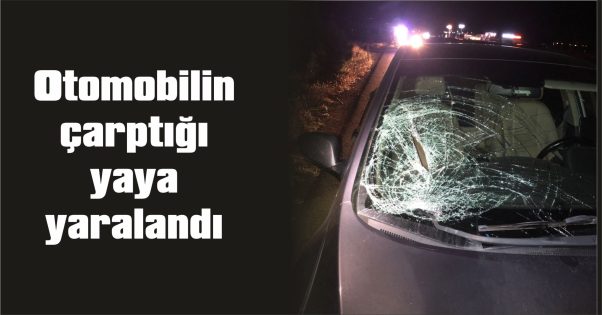 AMBULANSLA HASTANEYE KALDIRILDI