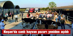 KEŞAN’DA CANLI HAYVAN PAZARI YENİDEN AÇILDI