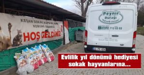 “HERKES MUTLU GÜNÜNDE BÖYLE DUYARLILIK GÖSTERSE, SOKAK HAYVANLARI AÇ KALMAKTAN KURTULUR”